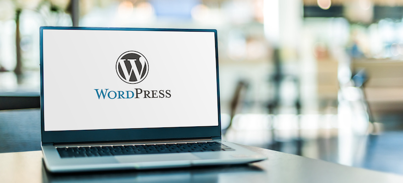 Featured image for “Is WordPress an Enterprise-Class CMS?”